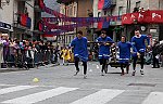 Gara delle Bighe 2011-7762